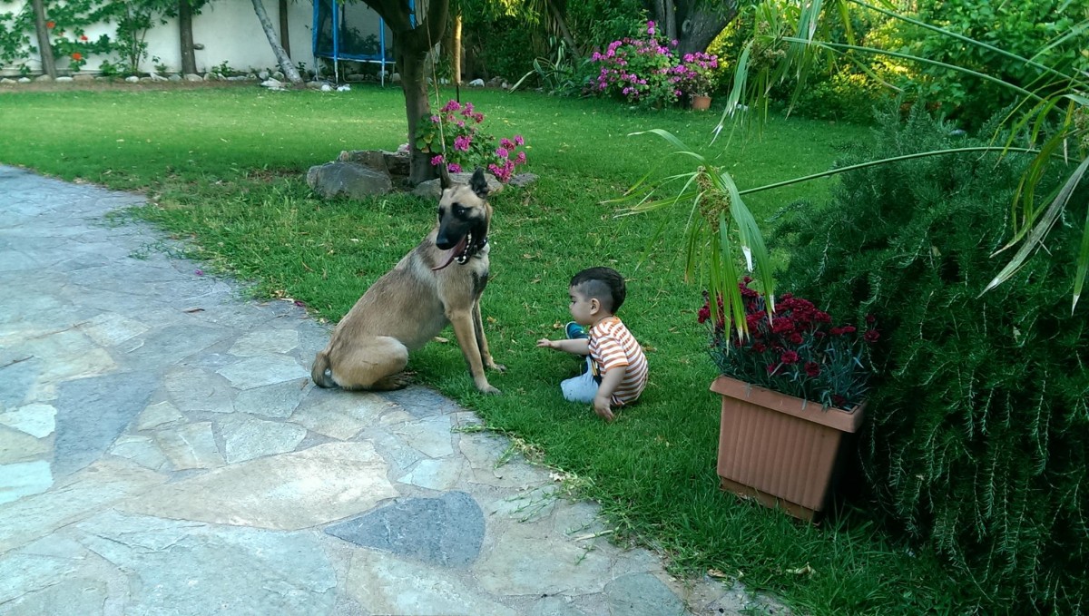 Anouk PlayTime