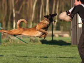 PlayTime