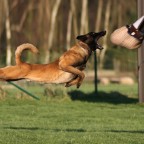 PlayTime