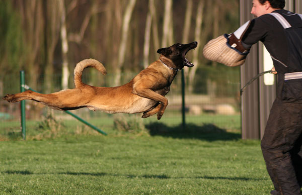 PlayTime