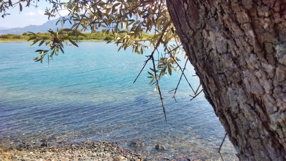 Λιχαδονήσια 2014