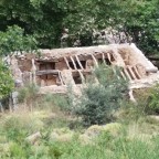 IMG_20150711_124859_800x600
