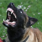 Anouk PlayTime