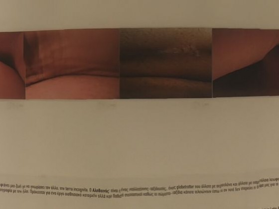 Imagepanorama1