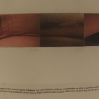 Imagepanorama1