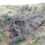 IMG_20150710_194349_800x600