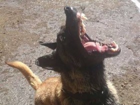 Anouk PlayTime