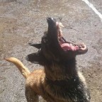 Anouk PlayTime
