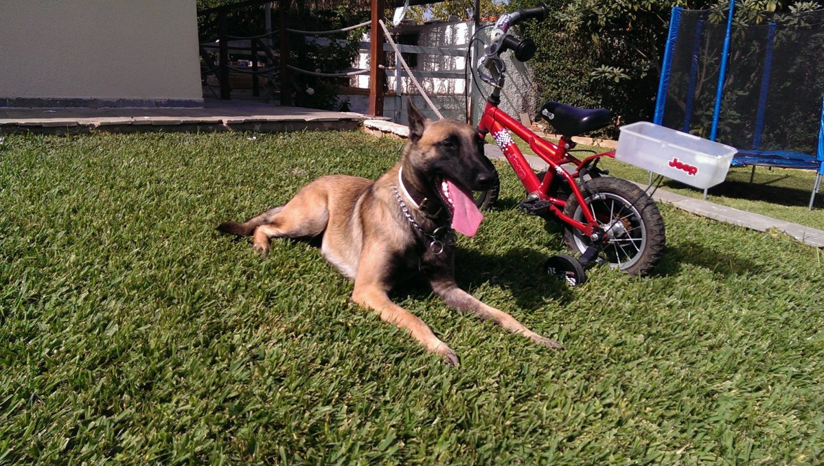 Anouk PlayTime
