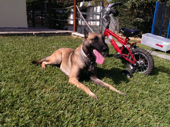 Anouk PlayTime