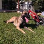 PlayTime