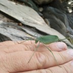 IMG_20150711_140626_450x600