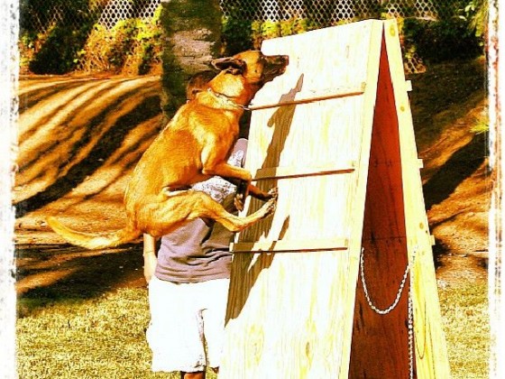 PlayTime