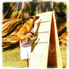 PlayTime
