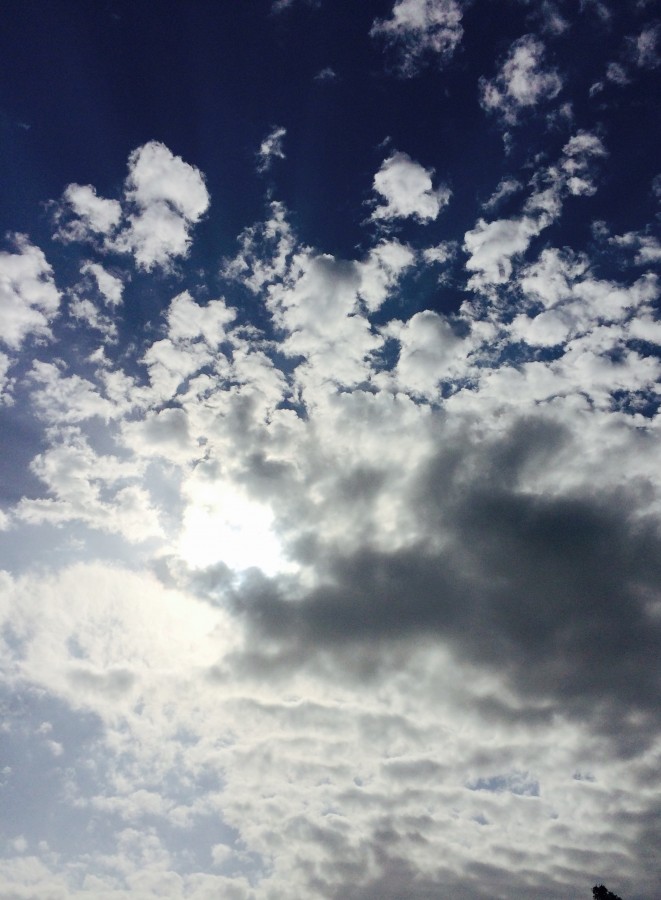 What a wonderful world!