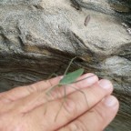 IMG_20150711_140605_450x600