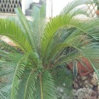 IMG_20161102_151337_1024x576