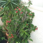 IMG_20161102_151327_1024x576