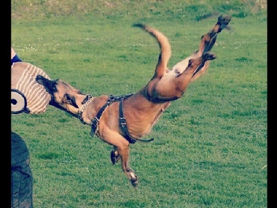 PlayTime