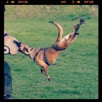 PlayTime