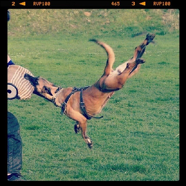 PlayTime