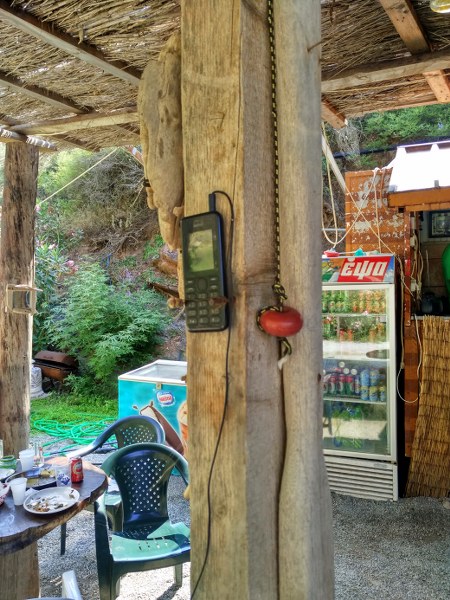IMG_20150711_162235_HDR_450x600